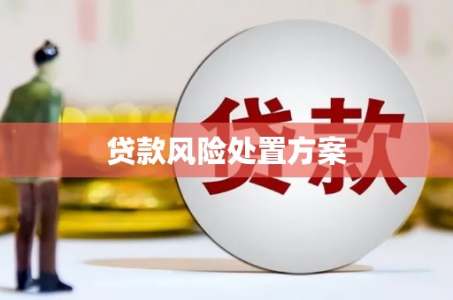 南涧贷款风险处置方案