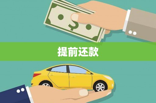 南涧提前还款