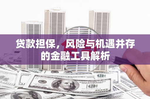 南涧贷款担保，风险与机遇并存的金融工具解析