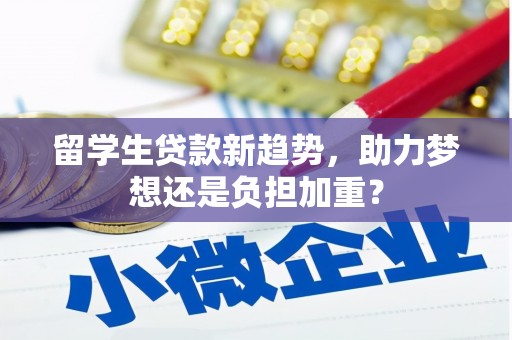 南涧留学生贷款新趋势，助力梦想还是负担加重？