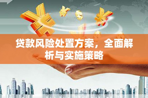 南涧贷款风险处置方案，全面解析与实施策略