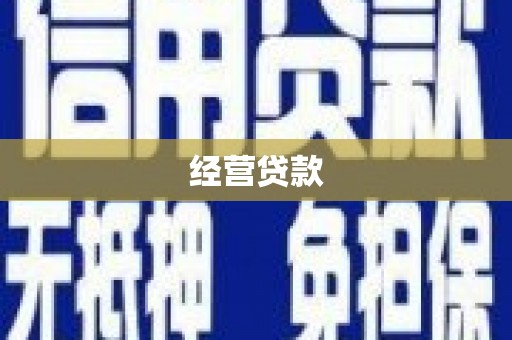 南涧经营贷款