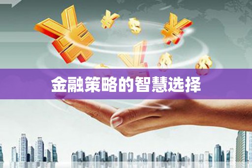 南涧金融策略的智慧选择