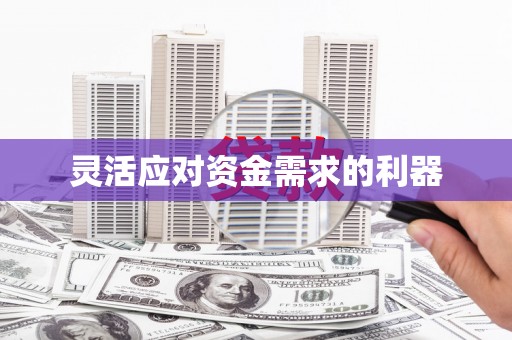 南涧灵活应对资金需求的利器