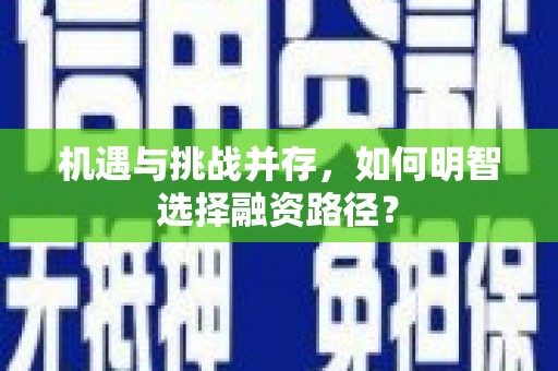 南涧机遇与挑战并存，如何明智选择融资路径？