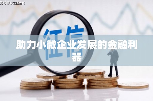 南涧助力小微企业发展的金融利器