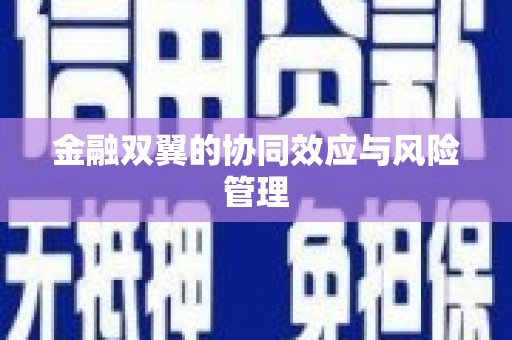 南涧金融双翼的协同效应与风险管理