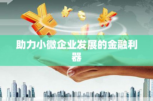 南涧助力小微企业发展的金融利器
