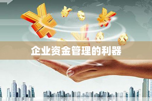 南涧企业资金管理的利器