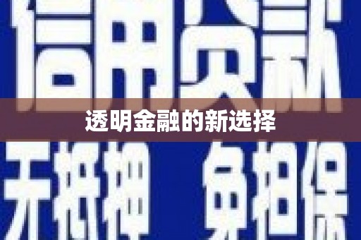 南涧透明金融的新选择