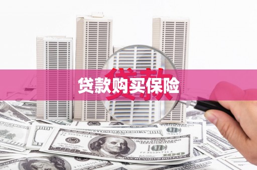 南涧贷款购买保险