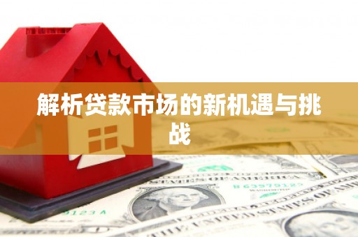 南涧解析贷款市场的新机遇与挑战