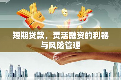 南涧短期贷款，灵活融资的利器与风险管理