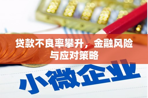 南涧贷款不良率攀升，金融风险与应对策略