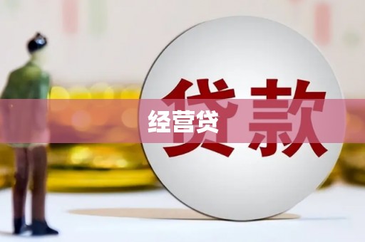 南涧经营贷