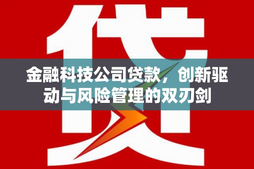 南涧金融科技公司贷款，创新驱动与风险管理的双刃剑
