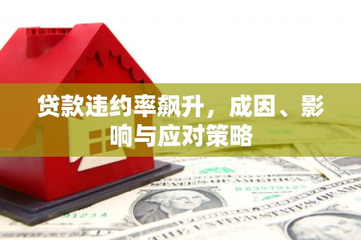 南涧贷款违约率飙升，成因、影响与应对策略