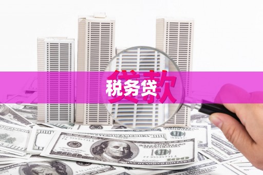 南涧税务贷