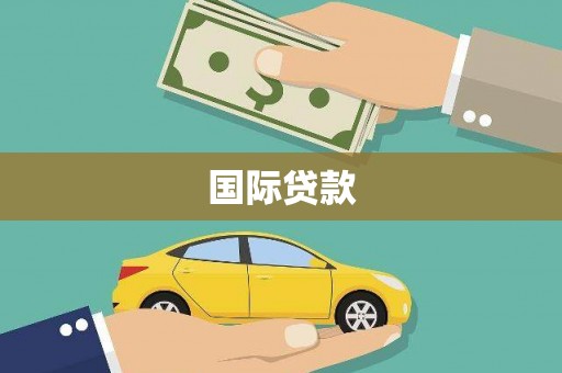 南涧国际贷款